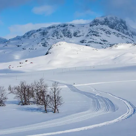 Ideal Getaway For Couples Or Small Families * Beitostolen