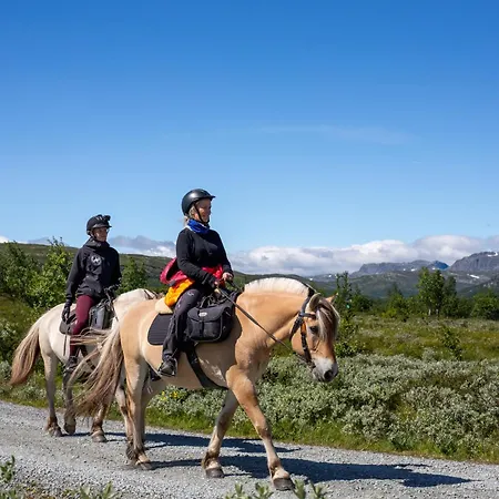 아파트 Ideal Getaway For Couples Or Small Families Beitostolen