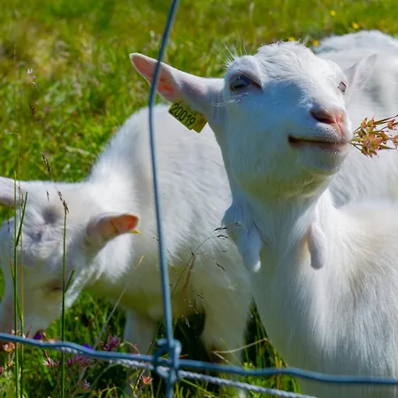 Ideal Getaway For Couples Or Small Families